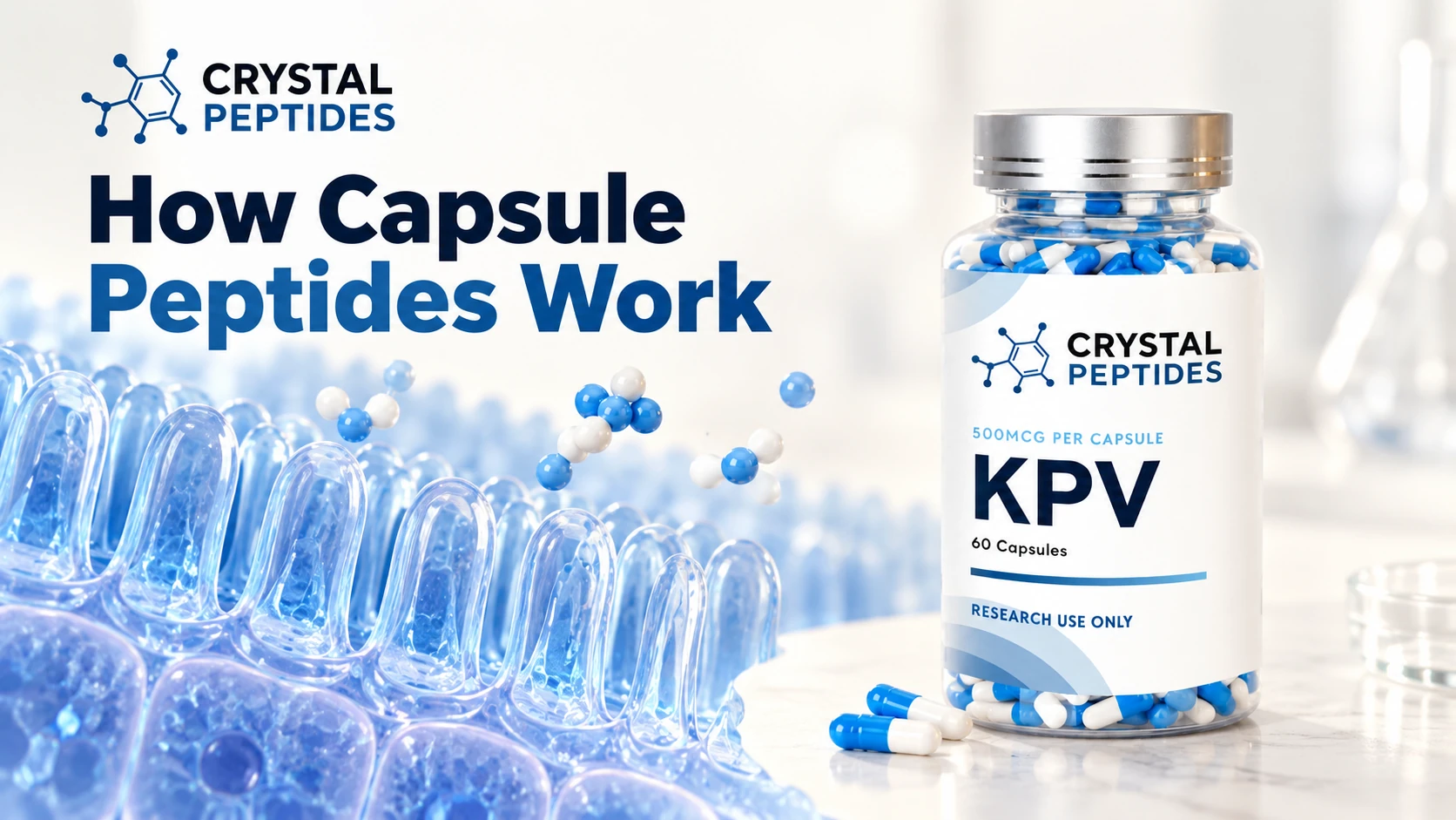 Crystal Peptidesin KPV-kapselipullo suoliston pintaa havainnollistavan kuvan vieressä.