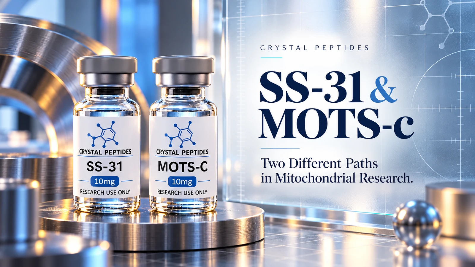 Toimituksellinen tuotekuvitus: SS-31 / MOTS-c — Crystal Peptides.